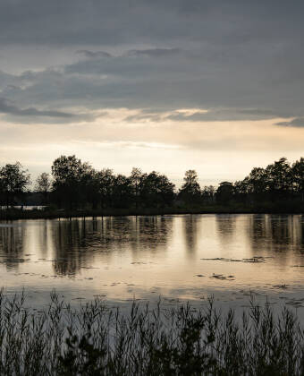 Erkunden Sie in Småland die idyllische Natur mit schönen Wäldern, historischen Orten und blanken Seen.
