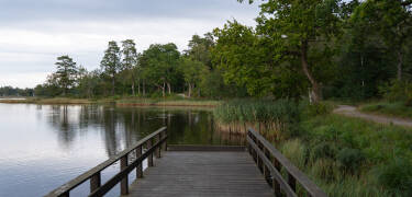 Området byr på massevis av aktiviteter slik som kano- og kajakk, fisketurer, gå- og sykkelturer.