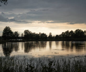 Erkunden Sie in Småland die idyllische Natur mit schönen Wäldern, historischen Orten und blanken Seen.