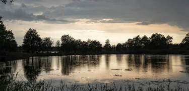 Erkunden Sie in Småland die idyllische Natur mit schönen Wäldern, historischen Orten und blanken Seen.