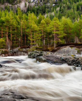 Utforsk Koppsåna, en av mange bekker i Åmli.