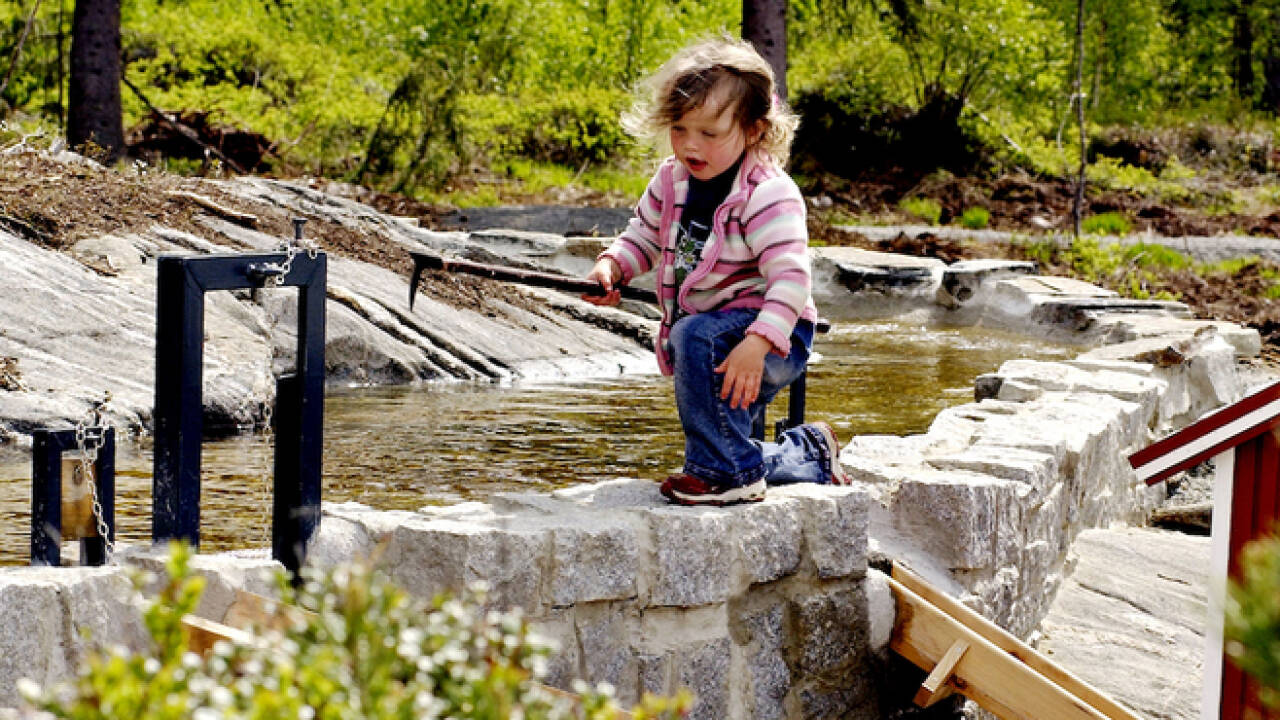 Der Wasserlauf, ein Spielparadies für Kinder