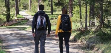 Verbringen Sie Ihren Aufenthalt zwischen Dünen und Wald – ideal zum Abschalten und die Natur zu genießen.
