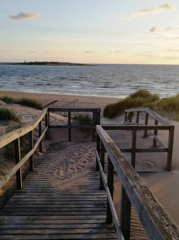 Tillbringa dagen på Tylösands vackra sandstränder.