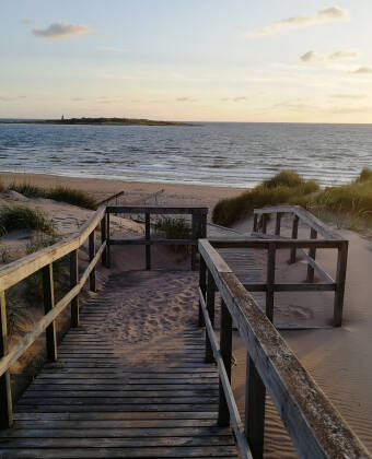 Verbringen Sie Ihren Tag am feinen Sandstrand des wunderschönen Tylösand.