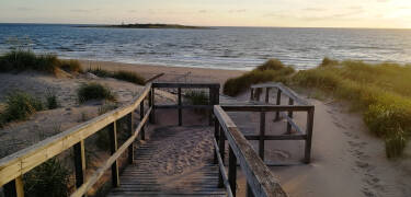 Verbringen Sie Ihren Tag am feinen Sandstrand des wunderschönen Tylösand.