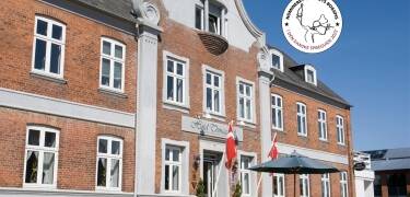 Hotel Thinggaard