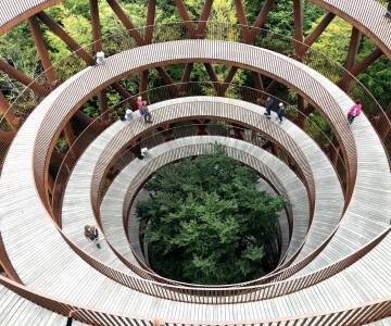 Gå blandt trætoppene på Skovtårnet, hvor du får vid udsigt over Sydsjællands skove.