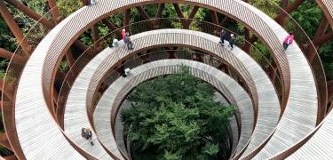 Gå blandt trætoppene på Skovtårnet, hvor du får vid udsigt over Sydsjællands skove.