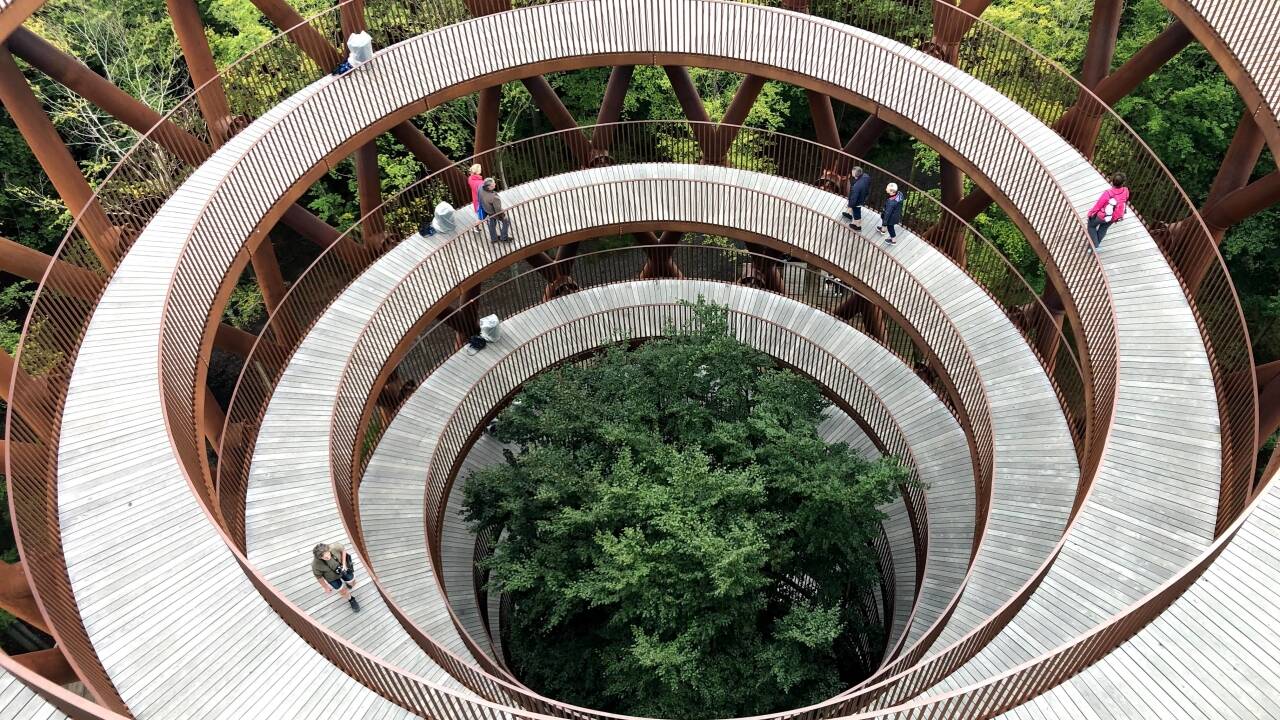 Spazieren Sie im Skovtårnet zwischen den Baumwipfeln und genießen Sie weite Ausblicke über die Wälder Südseelands.