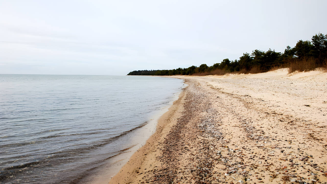 Fra hotellet er der kun 1,5 km til stranden, hvor I kan gå lange ture i den friske havluft.