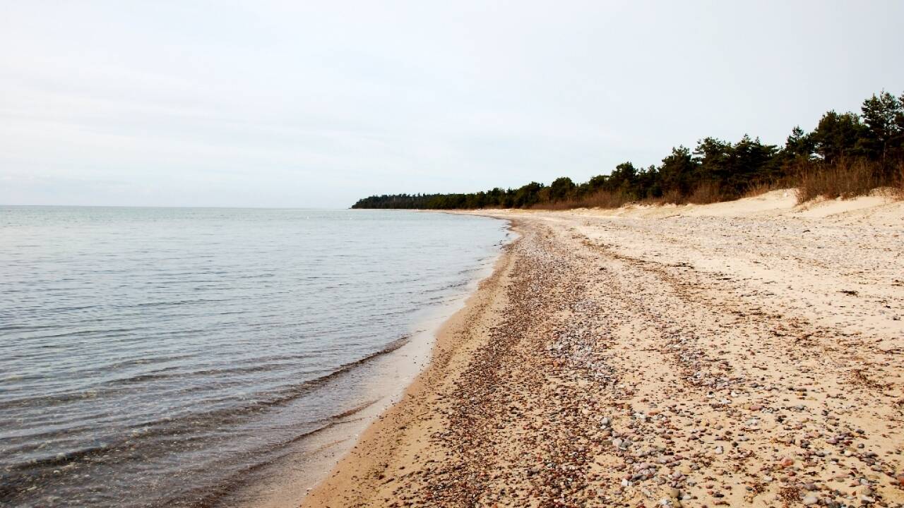 Fra hotellet er der kun 1,5 km til stranden, hvor I kan gå lange ture i den friske havluft.