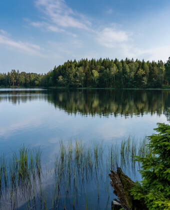 Udforsk naturen ved Bredaredssøen. Området byder både på vandreture, fiskeri og idylliske bådture på søen.