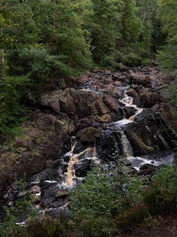 Danska fall, är ett naturreservat i Breareds och Tönnersjös socknar i Halmstads kommun i Halland.