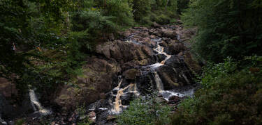 Danska fall, är ett naturreservat i Breareds och Tönnersjös socknar i Halmstads kommun i Halland.