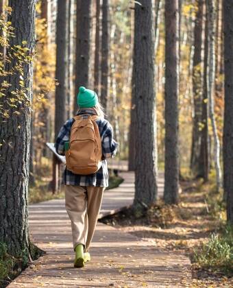 Skovstier starter lige ved hotellet og fører dig gennem bøgeskov og bløde bakker.