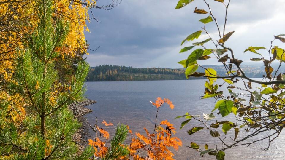 Med kort afstand til Väsman-søen har I gode muligheder for at nyde solen og bade om sommeren.
