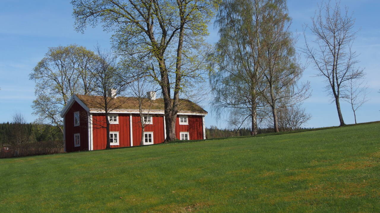 Besøg friluftsmuseet Ekomuseum Bergslagen, og lær mere om Ludvikas historie.