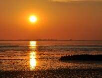 Gå en romantisk aftentur ved stranden med den maleriske solnedgang i baggrunden.