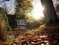 Machen Sie einen Spaziergang durch den Hindsgavl Slotspark und bewundern Sie den Wald, das Rotwild und die herrlichen Wasserlandschaften.