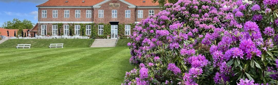 Gå en tur gennem Hindsgavl Slotspark for at beundre skoven, kronhjortene og de fantastiske udsigter over vandet.