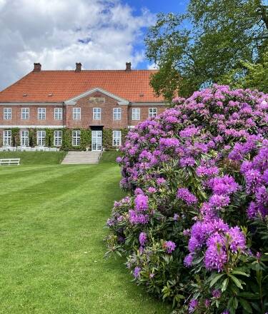 Ta en spasertur gjennom Hindsgavl slottspark for å beundre skogen, kronhjortene og det fantastiske vannlandskapet.