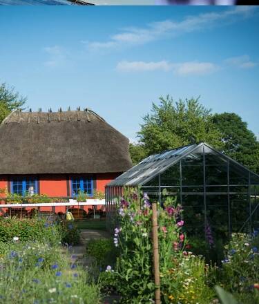 Explore the 10,000 m² vegetable garden and discover the ingredients for your evening meal.