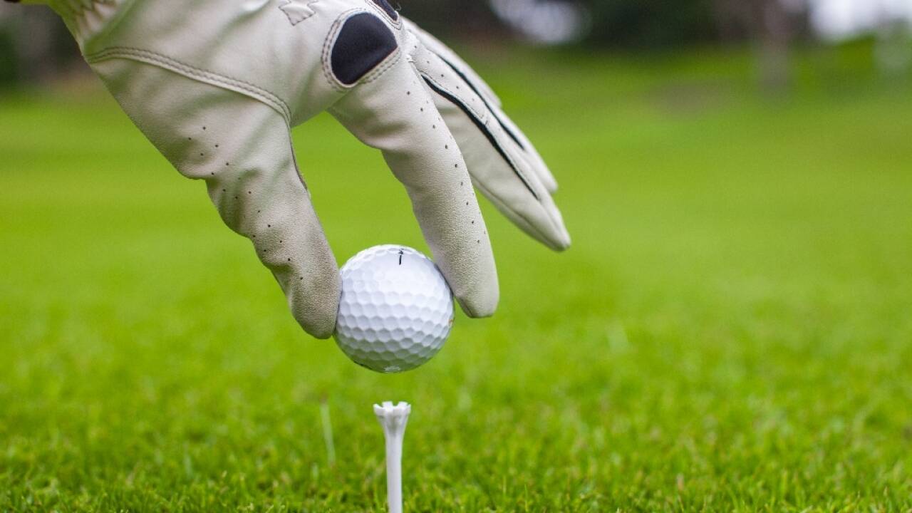 Golfliebhaber können sich schon freuen: denn es gibt 8 Golfplätze innerhalb einer halben Stunde Fahrt.