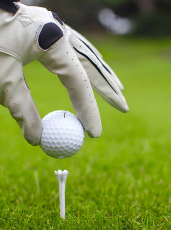 Golf enthusiasts will be pleased to know that there are no less than 8 golf courses within half an hour's drive.