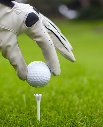 Golfliebhaber können sich schon freuen: denn es gibt 8 Golfplätze innerhalb einer halben Stunde Fahrt.