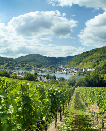 Dieses Hotel liegt sehr schön zwischen Weinbergen im kleinen idyllischen Weinort Alf.