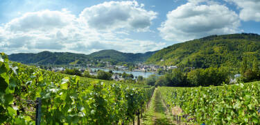 This hotel is beautifully set among vineyards in the small idyllic wine village of Alf, a few hundred metres from the Moselle River.