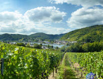 Dieses Hotel liegt sehr schön zwischen Weinbergen im kleinen idyllischen Weinort Alf.