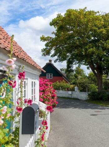 Enjoy a great outing! Take the pleasant ferry ride out to beautiful Fanø in the Wadden Sea and explore the island's natural gems.