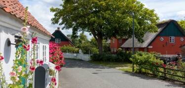 Nyd en formidabel udflugt! Tag den hyggelige færgetur ud til smukke Fanø i Vadehavet og udforsk øens naturperler.