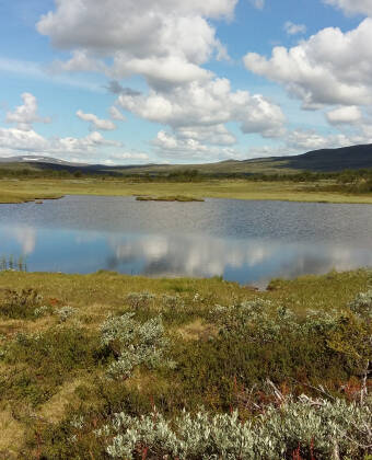 In summer the visitors of this region can immerse in outdoor sports and activities like hiking, fishing or mountain biking.