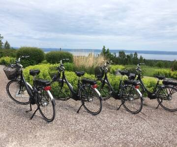 Opplev de vakre omgivelsene i Tälllbergs på to hjul. Dere kan leie sykler på hotellet.