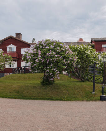Hotel Gyllene Hornet