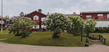 Hotel Gyllene Hornet