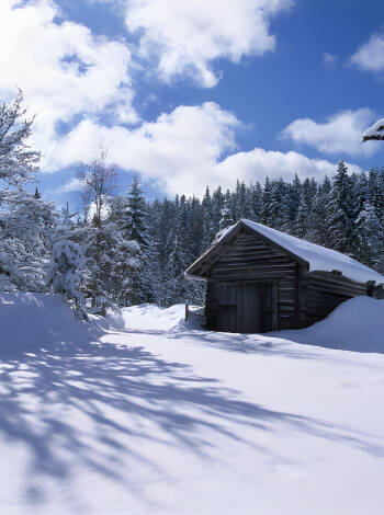 Erleben Sie die schneebedeckte Dalarna-Gegend. Nach eine langen Tag draußen in der frischen Luft können Sie in einem der gemütlichen Cafés in Tällberg entspannen.