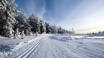 Mora ist natürlich bekannt für Schwedens größtes Ski-Event, Vasaloppet, und es gibt viele Loipen zur Auswahl, wenn Sie Langlauf mögen.