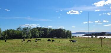 Hotell Jeløy Radio ligger langs Oslofjorden og tilbyder direkte adgang til en fantastisk 2 km lang strandlinje.