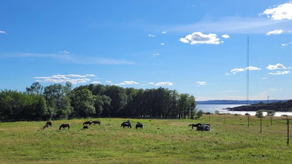 Hotell Jeløy Radio resides along the Oslofjord, offering direct access to a stunning 2 km shoreline.