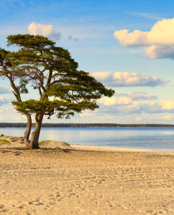 Täppet Strand ligger i kort afstand og byder på afslapning ved kysten og rekreative aktiviteter.