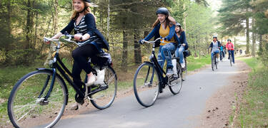 Utforska Nordjyllands fantastiska landskap med cykel- och vandringsleder som slingrar sig genom skogar, sanddyner och kustlinjen.