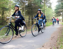 Erkunden Sie die atemberaubende Landschaft Nordjütlands auf Rad- und Wanderwegen, die sich durch Wälder, Dünen und an der Küste entlang schlängeln.