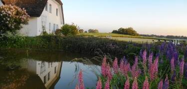 This 4-star hotel enjoys a beautiful location amidst the beautiful countryside of Germany's largest island, Rügen.