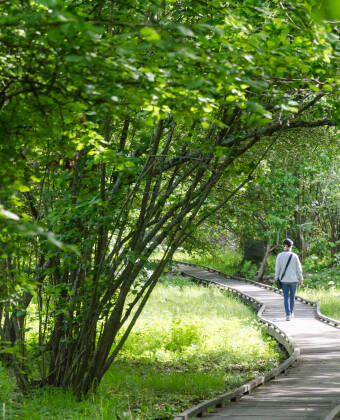 Njut av naturen i Halltorps Hage där ni bland annat kan beskåda imponerande ekar.