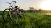 Rent bikes at the hotel and discover Öland in an active way!