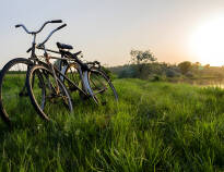 Rent bikes at the hotel and discover Öland in an active way!